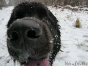 Превью фото № 168060