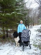 Превью фото № 168062