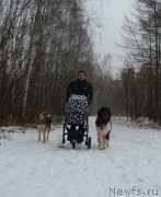 Превью фото № 168063