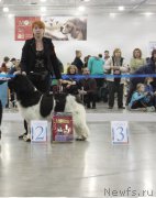 Превью фото № 168090