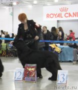 Превью фото № 168091