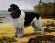 Превью фото № 168120