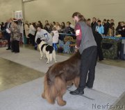 Превью фото № 168123