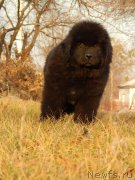 Превью фото № 168126