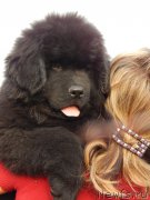 Превью фото № 168128