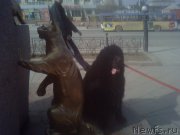 Превью фото № 168206