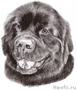 Превью фото № 168271