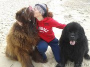 Превью фото № 168275