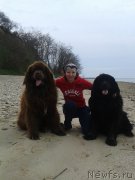 Превью фото № 168276