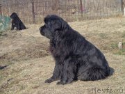 Превью фото № 168337