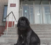 Превью фото № 168344