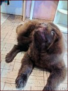 Превью фото № 168348