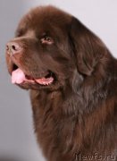 Превью фото № 168353