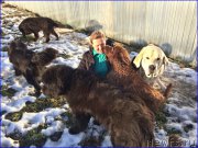 Превью фото № 168411