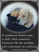 Превью фото № 168419