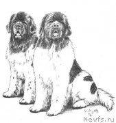 Превью фото № 168426