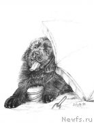 Превью фото № 168427