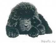 Превью фото № 168428