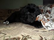 Превью фото № 168529