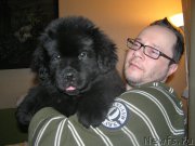 Превью фото № 168588