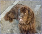 Превью фото № 168712