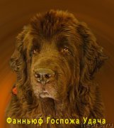 Превью фото № 168724