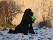 Превью фото № 168750