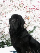 Превью фото № 168756