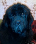 Превью фото № 168769