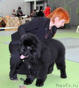 Превью фото № 168781