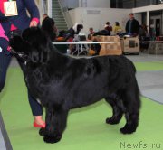 Превью фото № 168793