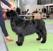 Превью фото № 168794