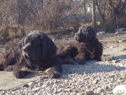 Превью фото № 168796