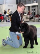 Превью фото № 168802