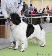 Превью фото № 168803