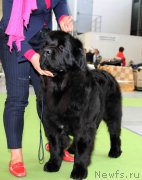 Превью фото № 168806