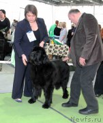 Превью фото № 168807