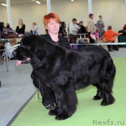 Превью фото № 168811