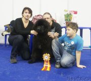 Превью фото № 168852