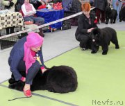 Превью фото № 168854