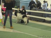 Превью фото № 168869