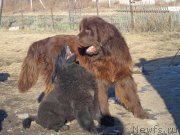 Превью фото № 168880