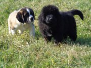 Превью фото № 168885