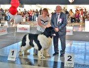 Превью фото № 168886