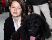 Превью фото № 168896