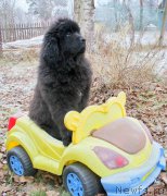 Превью фото № 168917