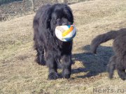 Превью фото № 169092