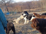 Превью фото № 169096