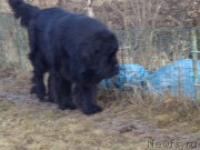 Превью фото № 169098