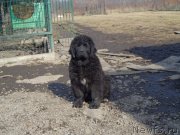 Превью фото № 169099